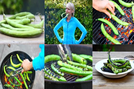 fava