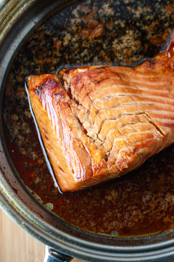 salmon-7253