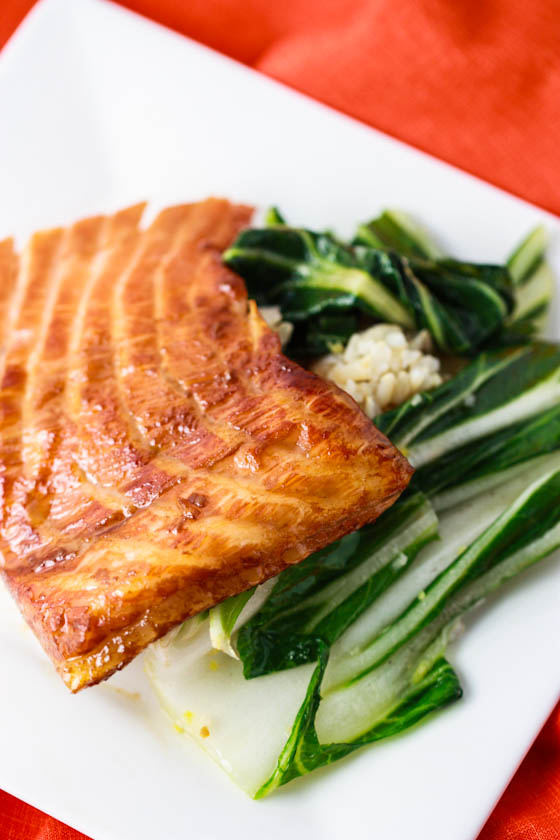 salmon-7274