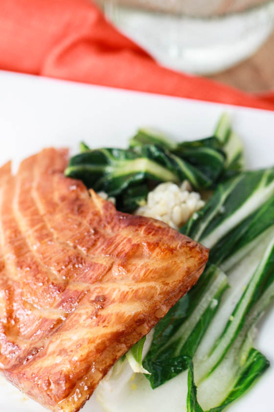 salmon-7279